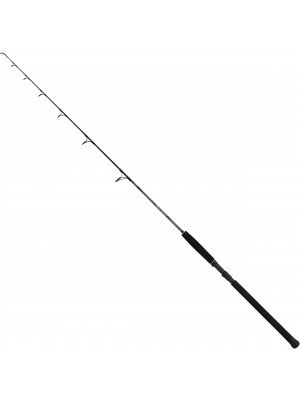 Shimano Beastmaster Catfish Fireball, 1.83m, 85-200g, 1 part, Catfish rod